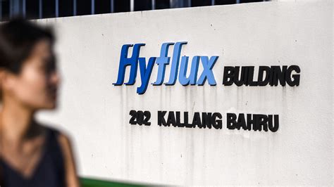 What liquidation of Singapore's Hyflux can teach entrepreneurs.